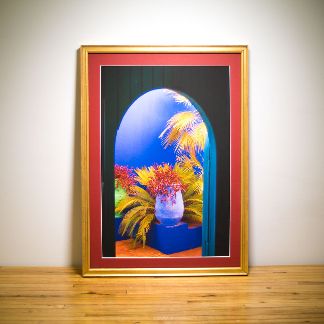 Marjorelle Garden Marrakesh